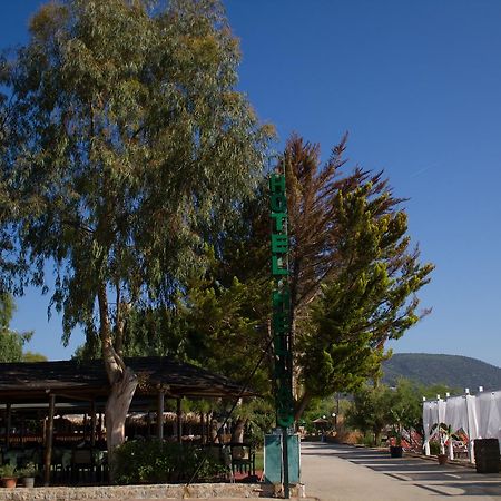 Hotel Hellas Epidaurus Eksteriør billede